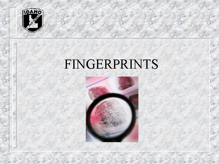 FINGERPRINTS FINGERPRINTS
