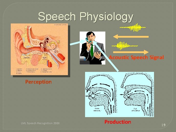 Speech Physiology Acoustic Speech Signal Perception LML Speech Recognition 2008 Production 19 