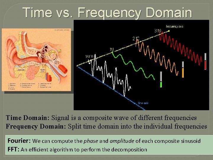 Time vs. Frequency Domain Time Domain: Signal is a composite wave of different frequencies