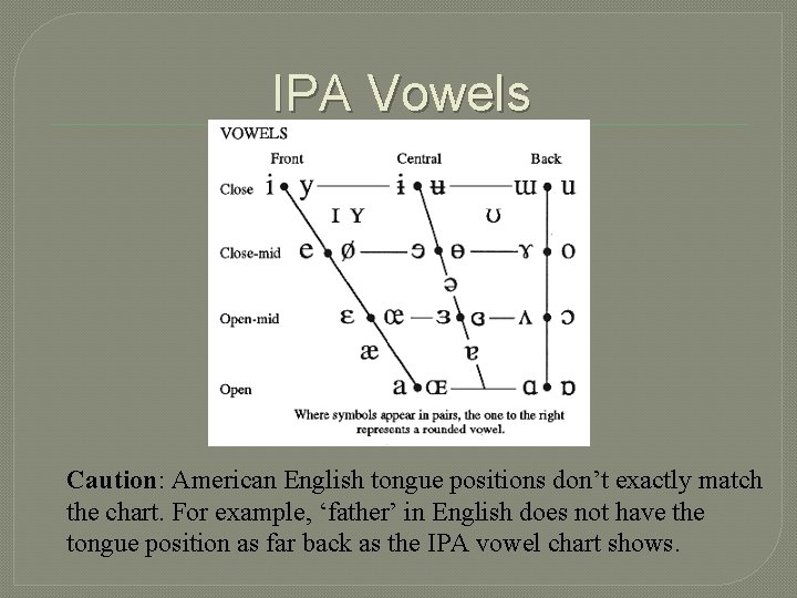 IPA Vowels Caution: American English tongue positions don’t exactly match the chart. For example,