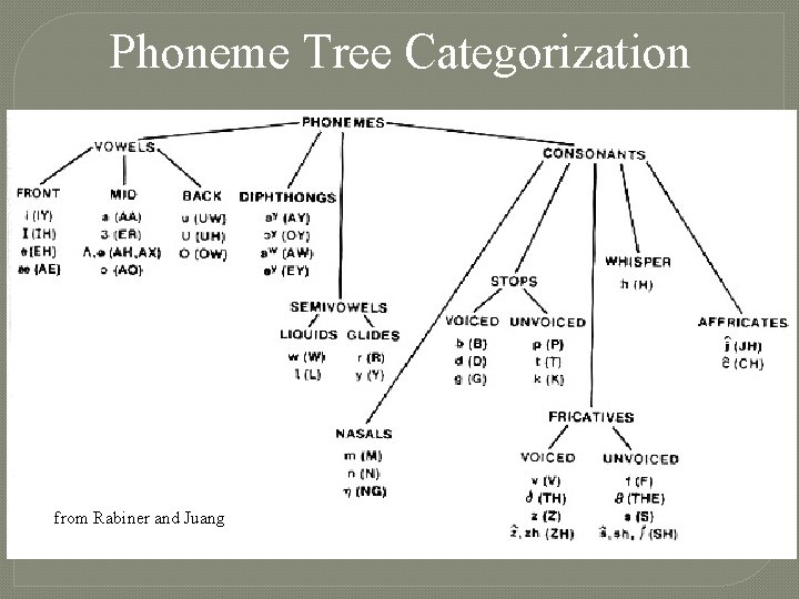 Phoneme Tree Categorization from Rabiner and Juang 