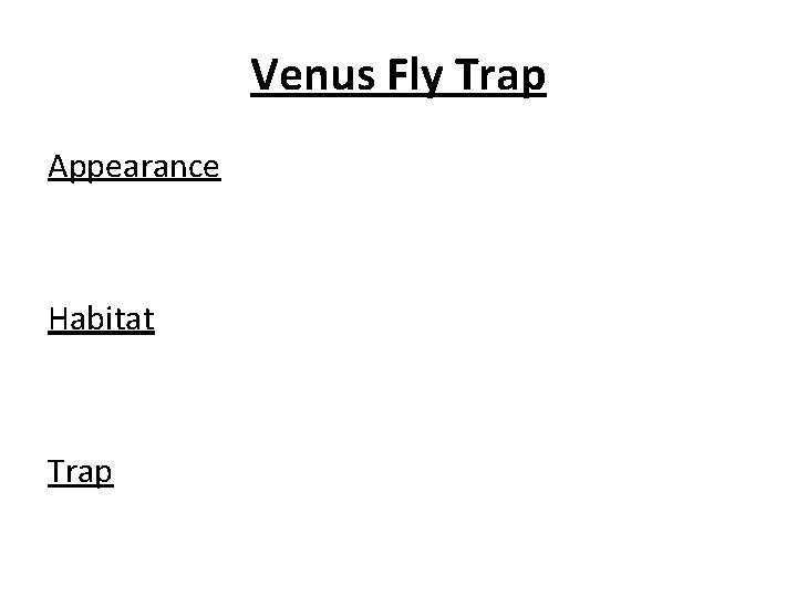 Venus Fly Trap Appearance Habitat Trap 