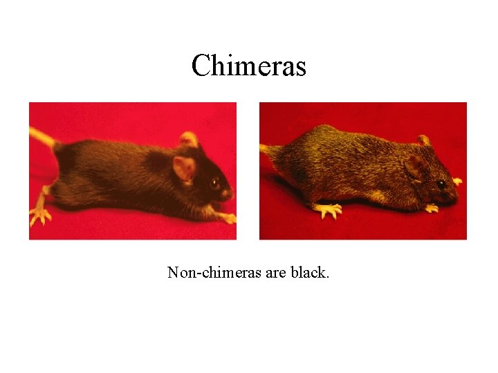 Chimeras Non-chimeras are black. Chimeras Non-chimeras are black.