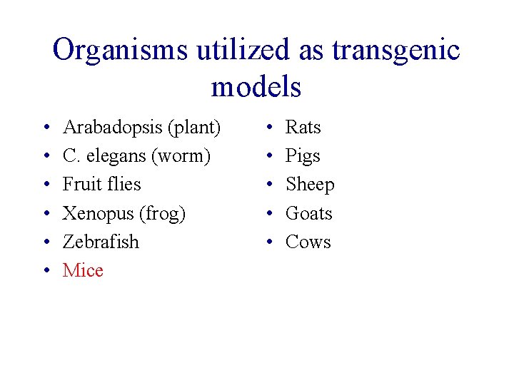 Organisms utilized as transgenic models • • • Arabadopsis (plant) C. elegans (worm) Fruit Organisms utilized as transgenic models • • • Arabadopsis (plant) C. elegans (worm) Fruit