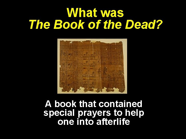 What was The Book of the Dead? A book that contained special prayers to