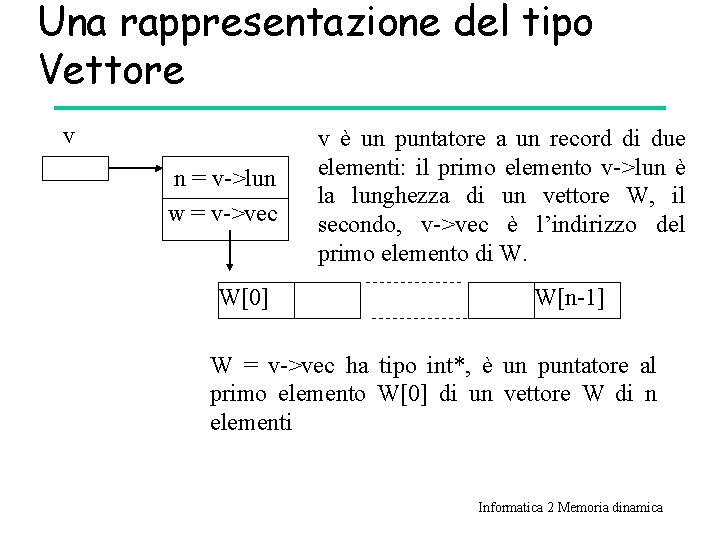 Una rappresentazione del tipo Vettore v n = v->lun w = v->vec W[0] v