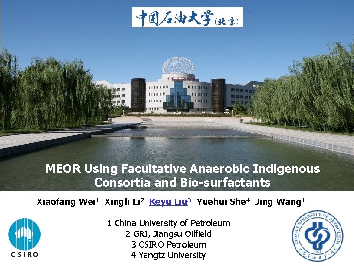 MEOR Using Facultative Anaerobic Indigenous Consortia and Bio-surfactants Xiaofang Wei 1 Xingli Li 2