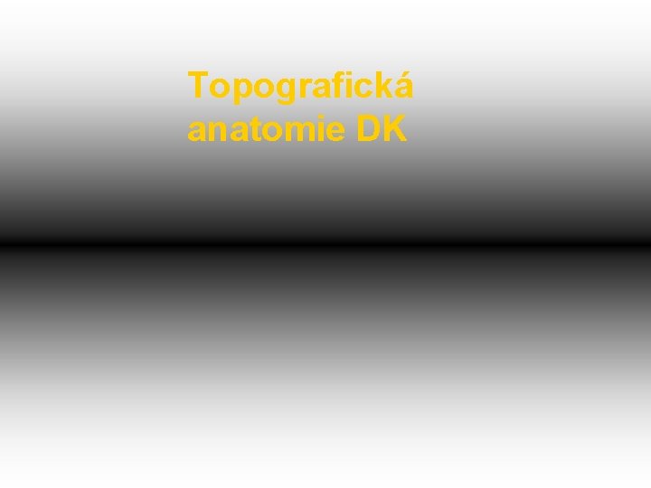 Topografická anatomie DK 