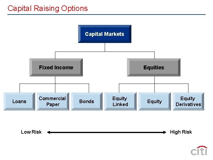 Capital Raising Options Capital Markets Fixed Income Loans Commercial Paper Low Risk Equities Bonds