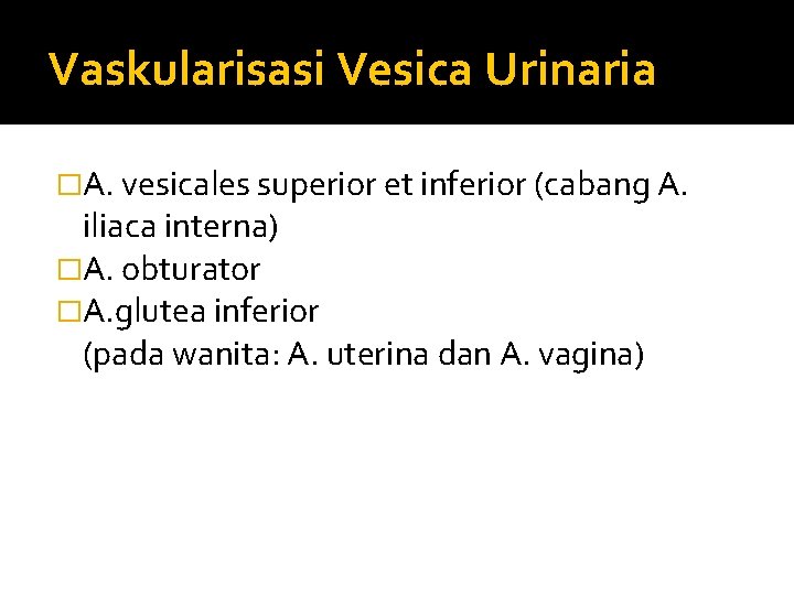 Vaskularisasi Vesica Urinaria �A. vesicales superior et inferior (cabang A. iliaca interna) �A. obturator