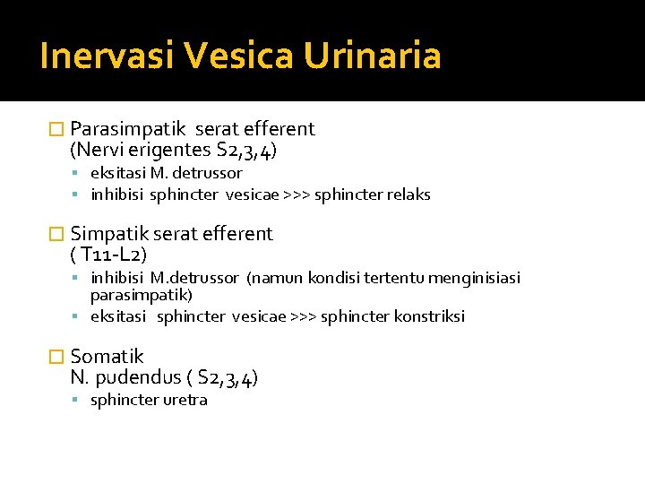 Inervasi Vesica Urinaria � Parasimpatik serat efferent (Nervi erigentes S 2, 3, 4) eksitasi