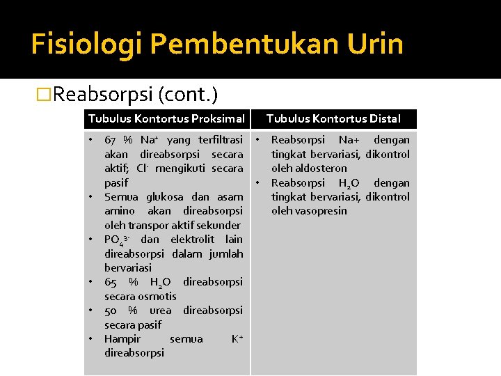 Fisiologi Pembentukan Urin �Reabsorpsi (cont. ) Tubulus Kontortus Proksimal Tubulus Kontortus Distal • 67