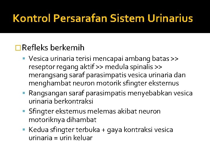 Kontrol Persarafan Sistem Urinarius �Refleks berkemih Vesica urinaria terisi mencapai ambang batas >> reseptor