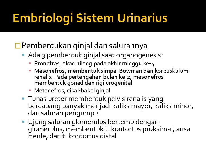 Embriologi Sistem Urinarius �Pembentukan ginjal dan salurannya Ada 3 pembentuk ginjal saat organogenesis: ▪