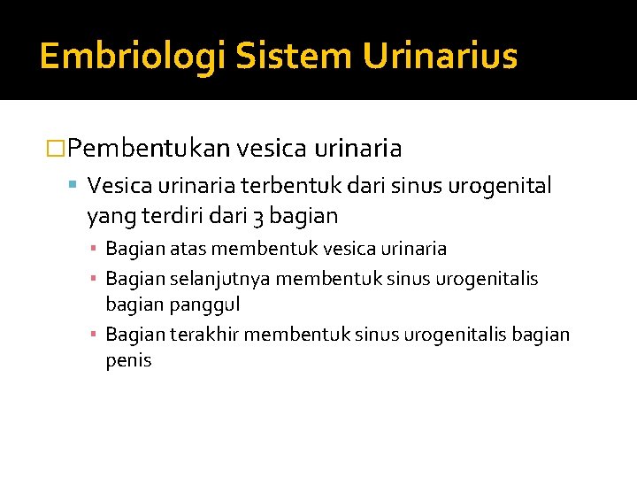 Embriologi Sistem Urinarius �Pembentukan vesica urinaria Vesica urinaria terbentuk dari sinus urogenital yang terdiri
