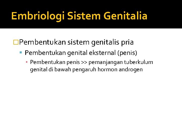 Embriologi Sistem Genitalia �Pembentukan sistem genitalis pria Pembentukan genital eksternal (penis) ▪ Pembentukan penis