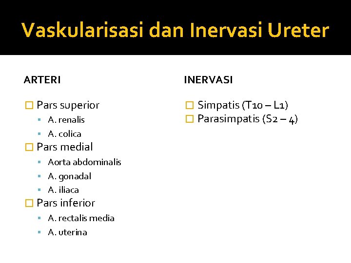 Vaskularisasi dan Inervasi Ureter ARTERI INERVASI � Pars superior � Simpatis (T 10 –
