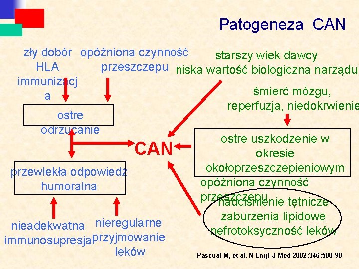 Patogeneza CAN zły dobór opóźniona czynność starszy wiek dawcy HLA przeszczepu niska wartość biologiczna