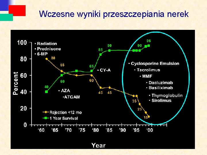 Wczesne wyniki przeszczepiania nerek 