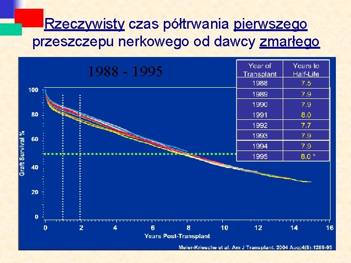 Rzeczywisty czas półtrwania pierwszego przeszczepu nerkowego od dawcy zmarłego 1988 - 1995 