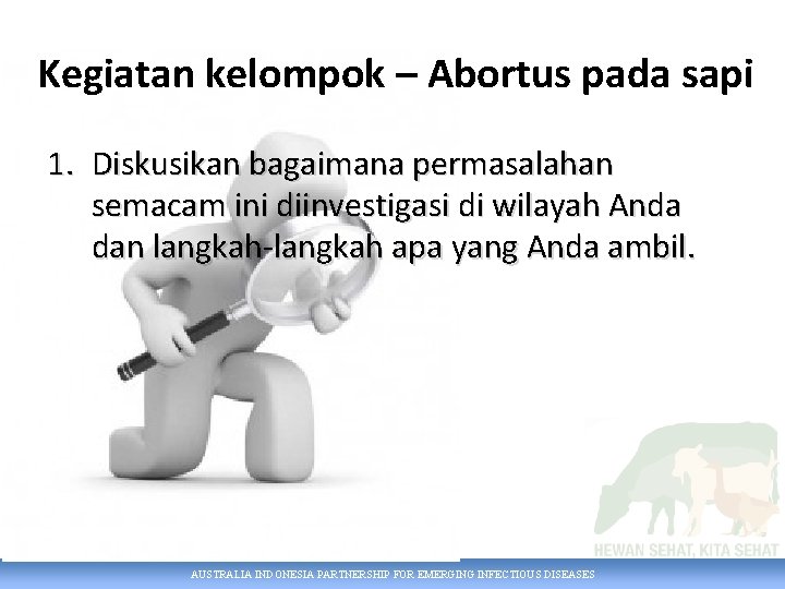 Kegiatan kelompok – Abortus pada sapi 1. Diskusikan bagaimana permasalahan semacam ini diinvestigasi di