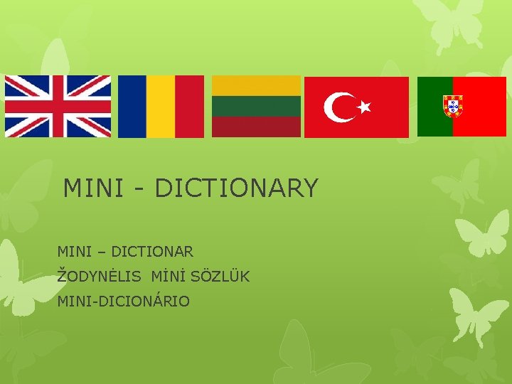 MINI - DICTIONARY MINI – DICTIONAR ŽODYNĖLIS MİNİ SÖZLÜK MINI-DICIONÁRIO 