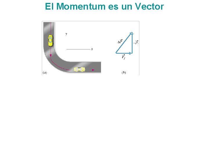 El Momentum es un Vector 