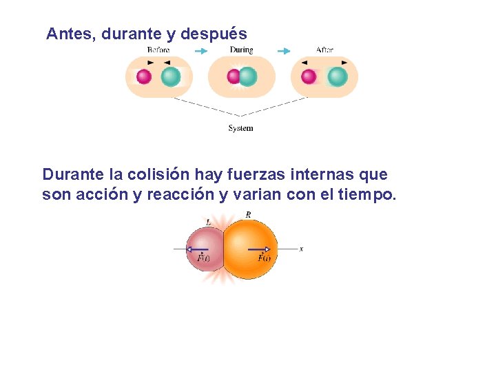 Antes, durante y después Durante la colisión hay fuerzas internas que son acción y