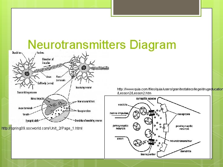 Neurotransmitters Diagram http: //www. quia. com/files/quia/users/granitestatecollege/drugeducation /Lesson 2. htm http: //spring 09. socworld. com/Unit_2/Page_1.