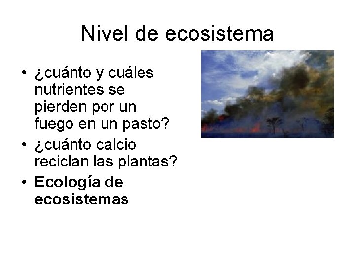 Nivel de ecosistema • ¿cuánto y cuáles nutrientes se pierden por un fuego en