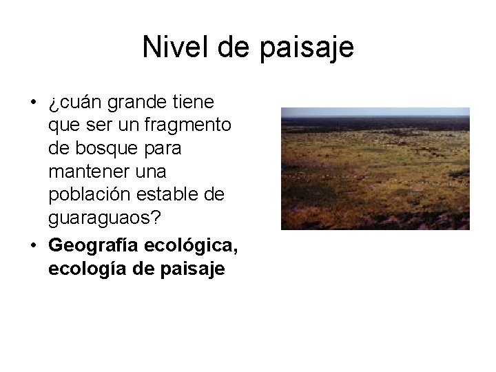 Nivel de paisaje • ¿cuán grande tiene que ser un fragmento de bosque para