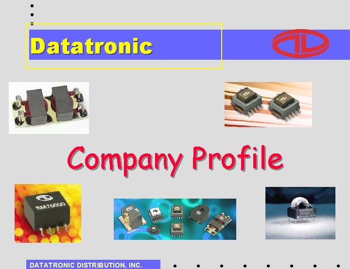 Datatronic Company Profile DATATRONIC DISTRIBUTION, INC. 