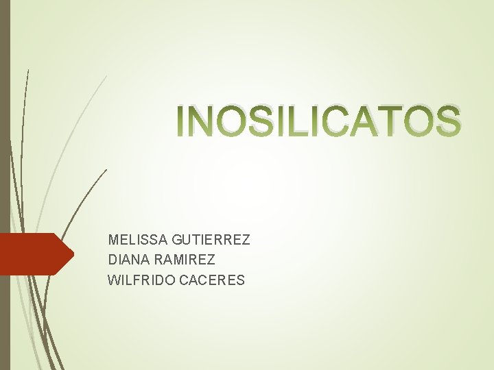 INOSILICATOS MELISSA GUTIERREZ DIANA RAMIREZ WILFRIDO CACERES 