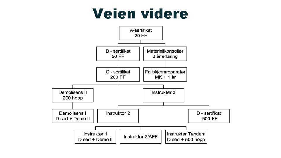 Veien videre Veien videre