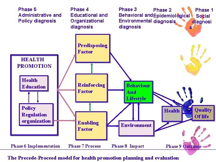 Phase 5 Administrative and Policy diagnosis Phase 4 Educational and Organizational diagnosis Phase 3