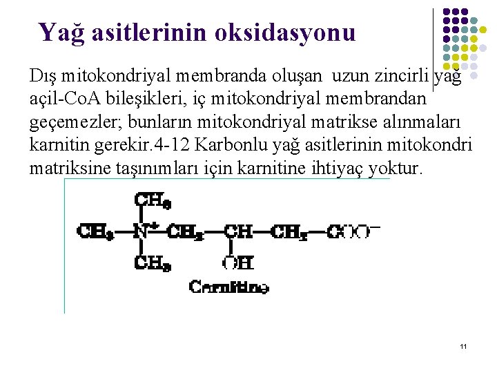 Yağ asitlerinin oksidasyonu Dış mitokondriyal membranda oluşan uzun zincirli yağ açil-Co. A bileşikleri, iç Yağ asitlerinin oksidasyonu Dış mitokondriyal membranda oluşan uzun zincirli yağ açil-Co. A bileşikleri, iç