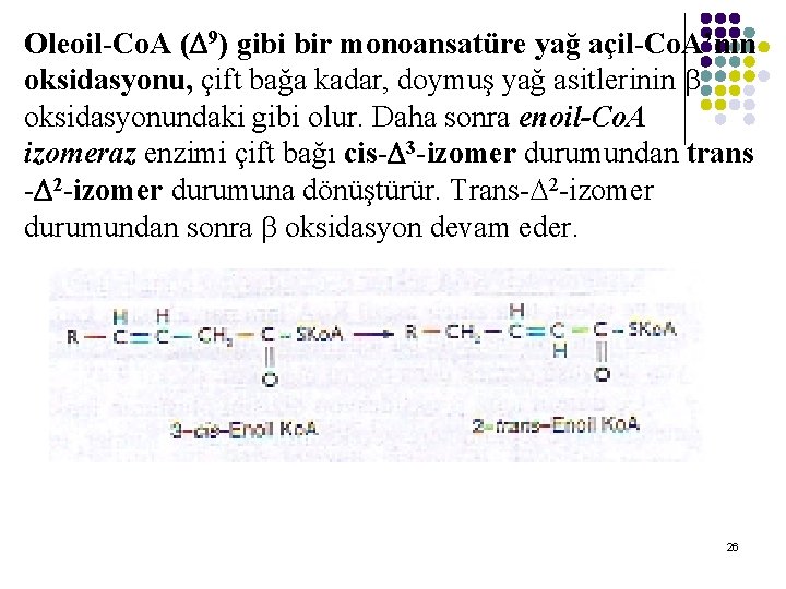 Oleoil-Co. A ( 9) gibi bir monoansatüre yağ açil-Co. A’nın oksidasyonu, çift bağa kadar, Oleoil-Co. A ( 9) gibi bir monoansatüre yağ açil-Co. A’nın oksidasyonu, çift bağa kadar,