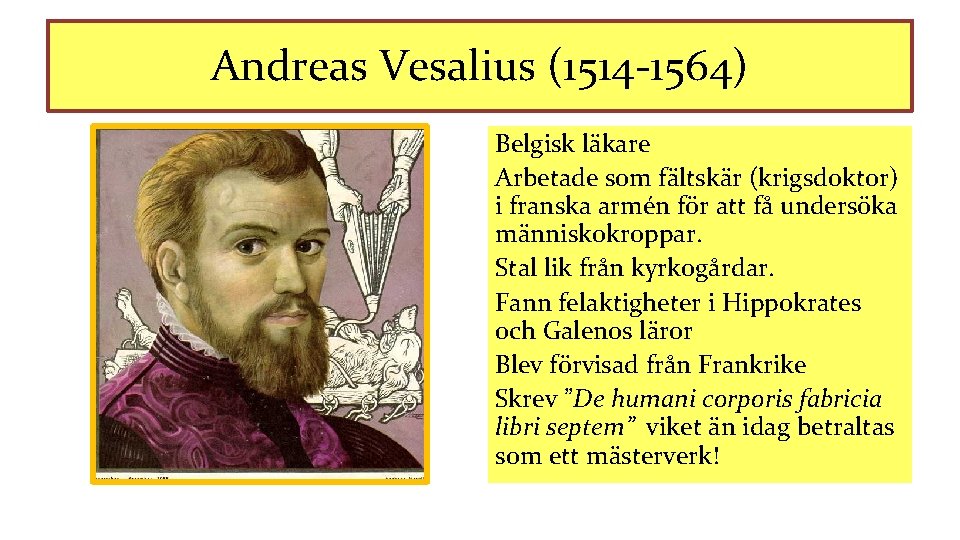 Andreas Vesalius (1514 -1564) Belgisk läkare Arbetade som fältskär (krigsdoktor) i franska armén för