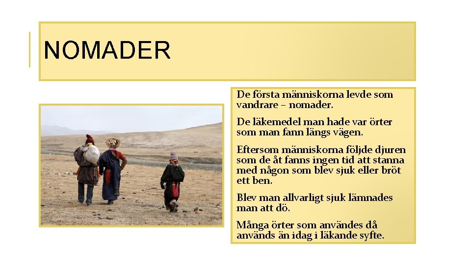 NOMADER De första människorna levde som vandrare – nomader. De läkemedel man hade var