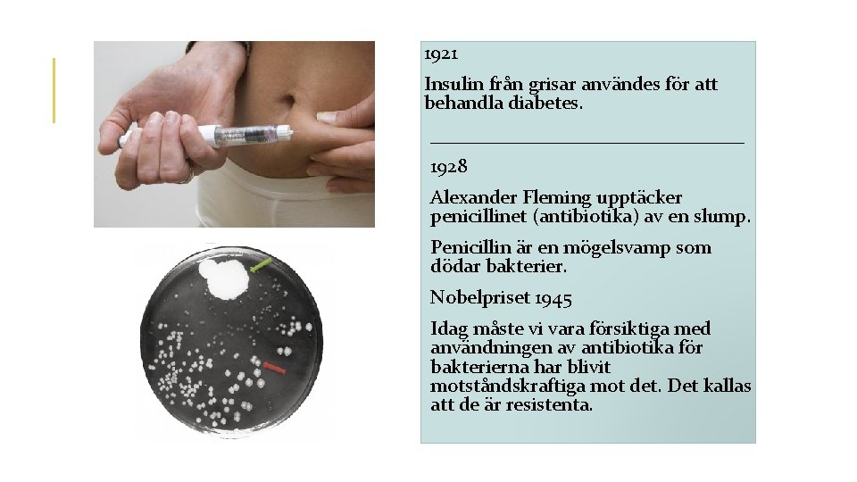 1921 Insulin från grisar användes för att behandla diabetes. ________________ 1928 Alexander Fleming upptäcker