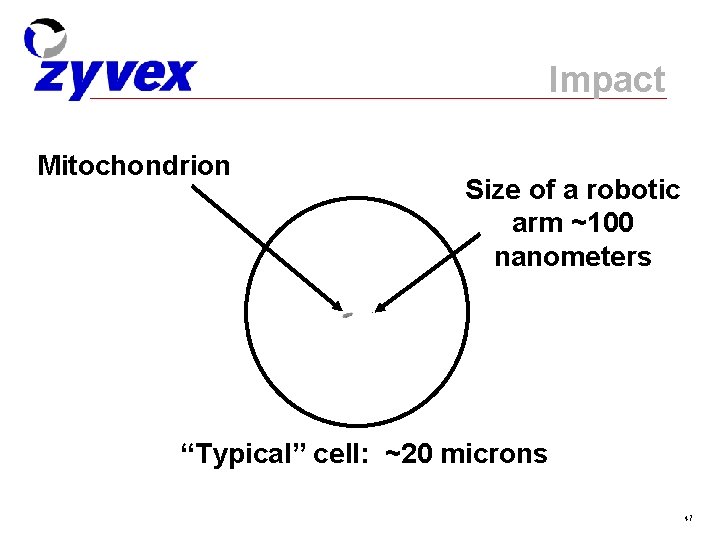 Impact Mitochondrion Size of a robotic arm ~100 nanometers “Typical” cell: ~20 microns 47