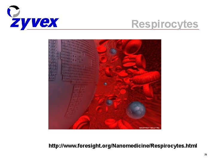 Respirocytes http: //www. foresight. org/Nanomedicine/Respirocytes. html 50 