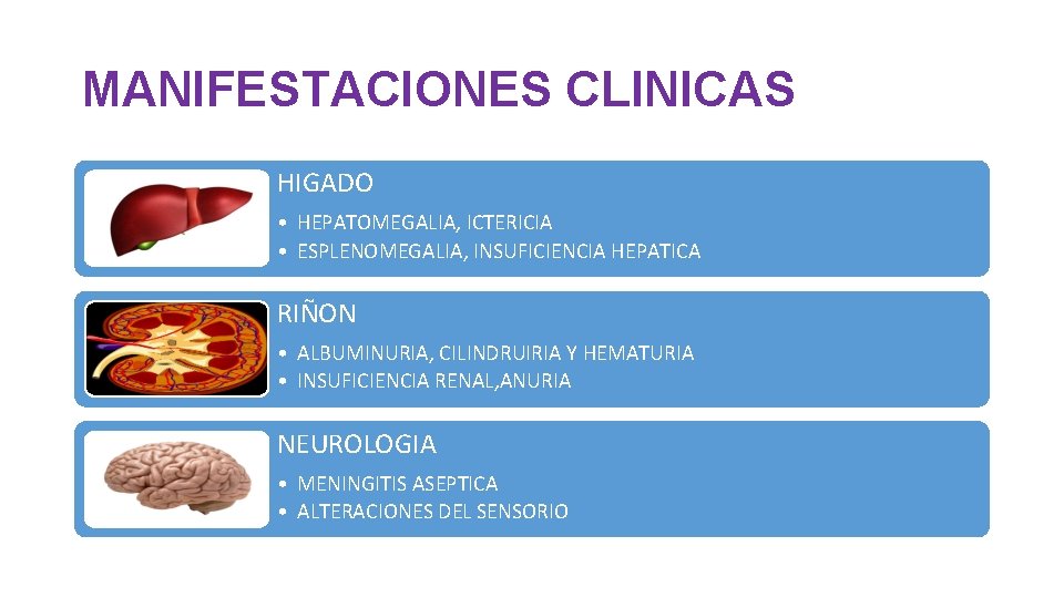 MANIFESTACIONES CLINICAS HIGADO • HEPATOMEGALIA, ICTERICIA • ESPLENOMEGALIA, INSUFICIENCIA HEPATICA RIÑON • ALBUMINURIA, CILINDRUIRIA