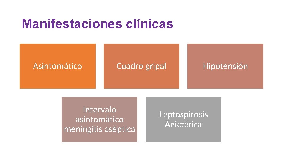 Manifestaciones clínicas Asintomático Cuadro gripal Intervalo asintomático meningitis aséptica Hipotensión Leptospirosis Anictérica 