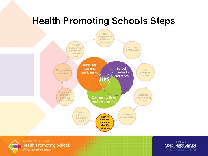 Health Promoting Schools Steps 