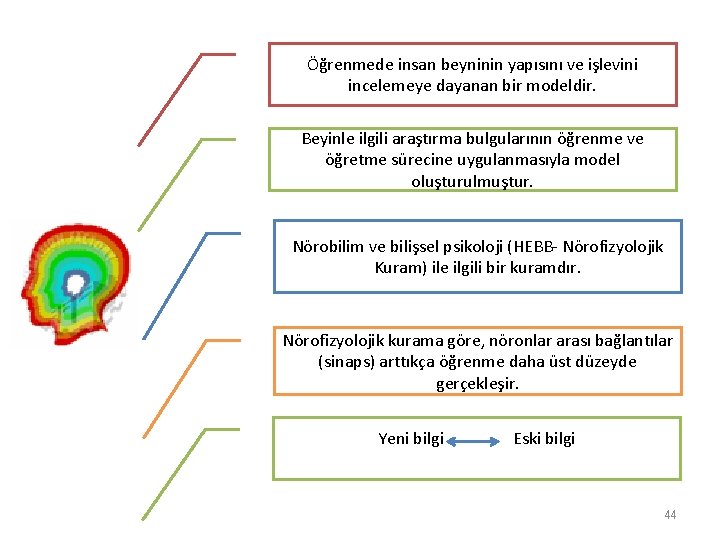 Öğrenmede insan beyninin yapısını ve işlevini incelemeye dayanan bir modeldir. Beyinle ilgili araştırma bulgularının