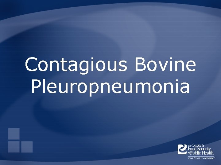 Contagious Bovine Pleuropneumonia 