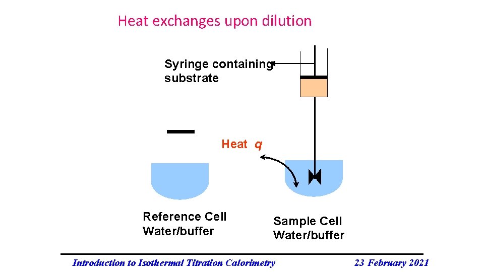 Heat exchanges upon dilution Syringe containing substrate Heat q Reference Cell Water/buffer Sample Cell