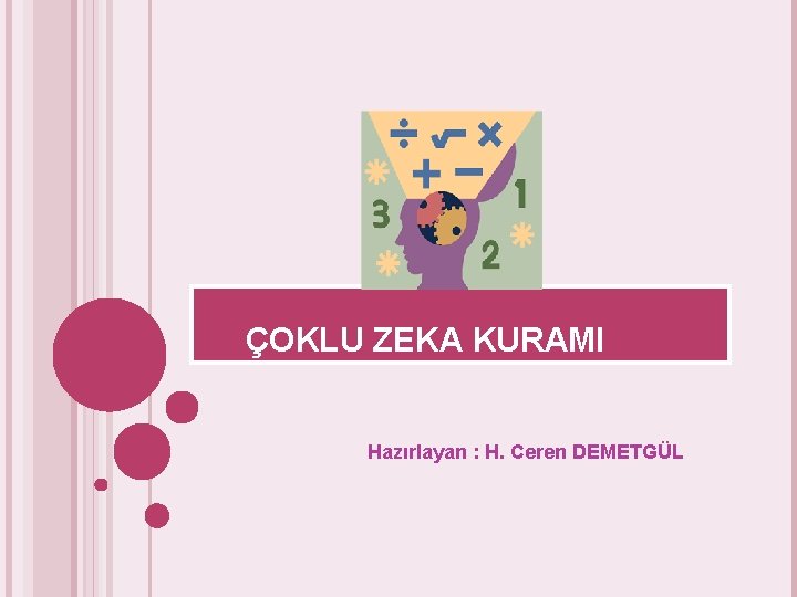 ÇOKLU ZEKA KURAMI Hazırlayan : H. Ceren DEMETGÜL 