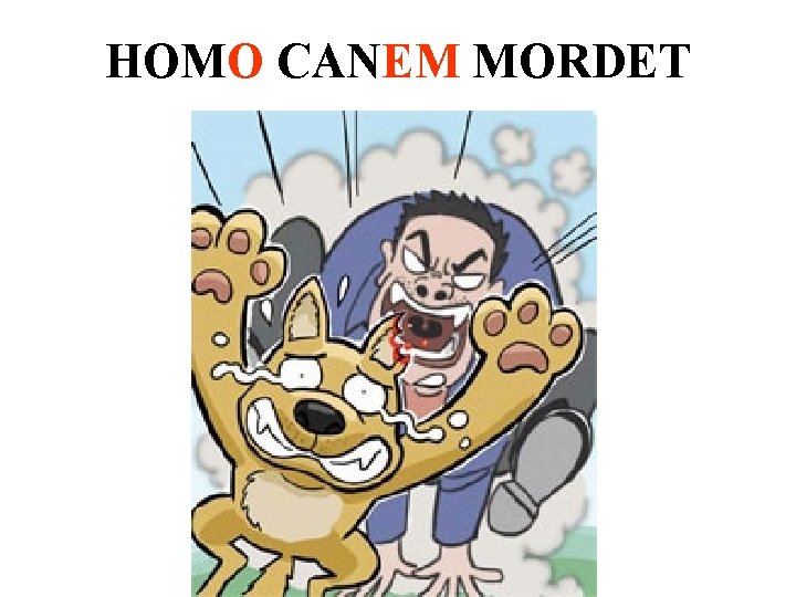 HOMO CANEM MORDET 